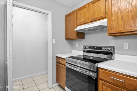 Tiny photo for 4813 Katia Lane, Knoxville, TN 37938 (MLS # 1335915)