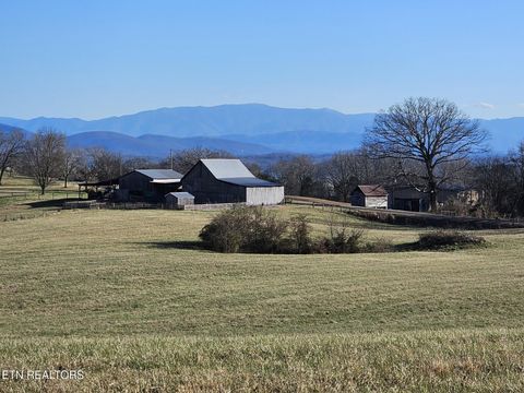 Tiny photo for 1902 Fain Cemetery Rd, Dandridge, TN 37725 (MLS # 1330187)