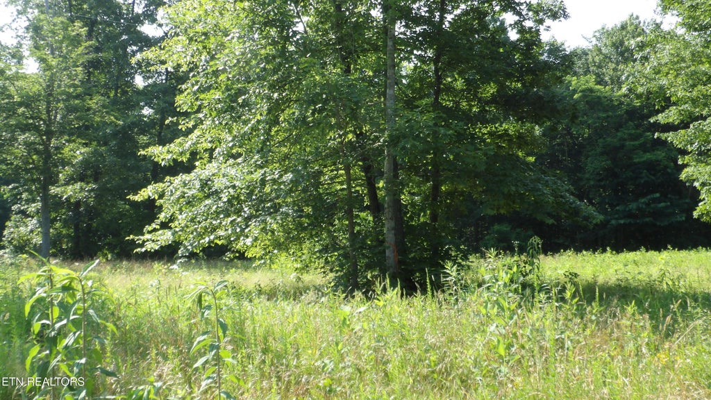 Photo of 580 Pleasant Cemetery Lane, Gainesboro, TN 38562 (MLS # 1358138)