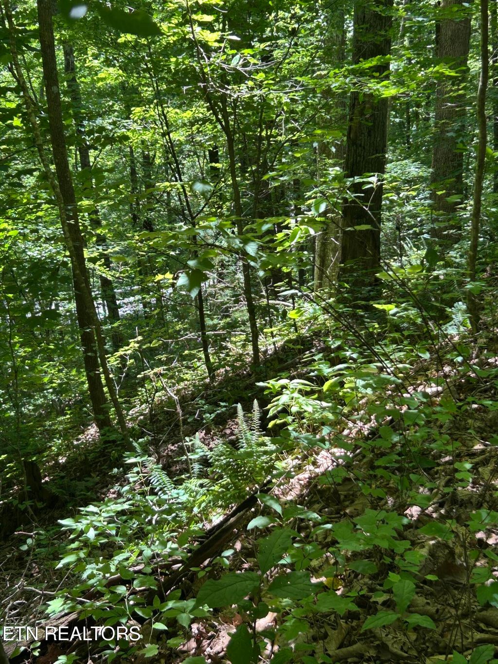 Photo of Lower Powdermill Rd, Sevierville, TN 37876 (MLS # 1317137)