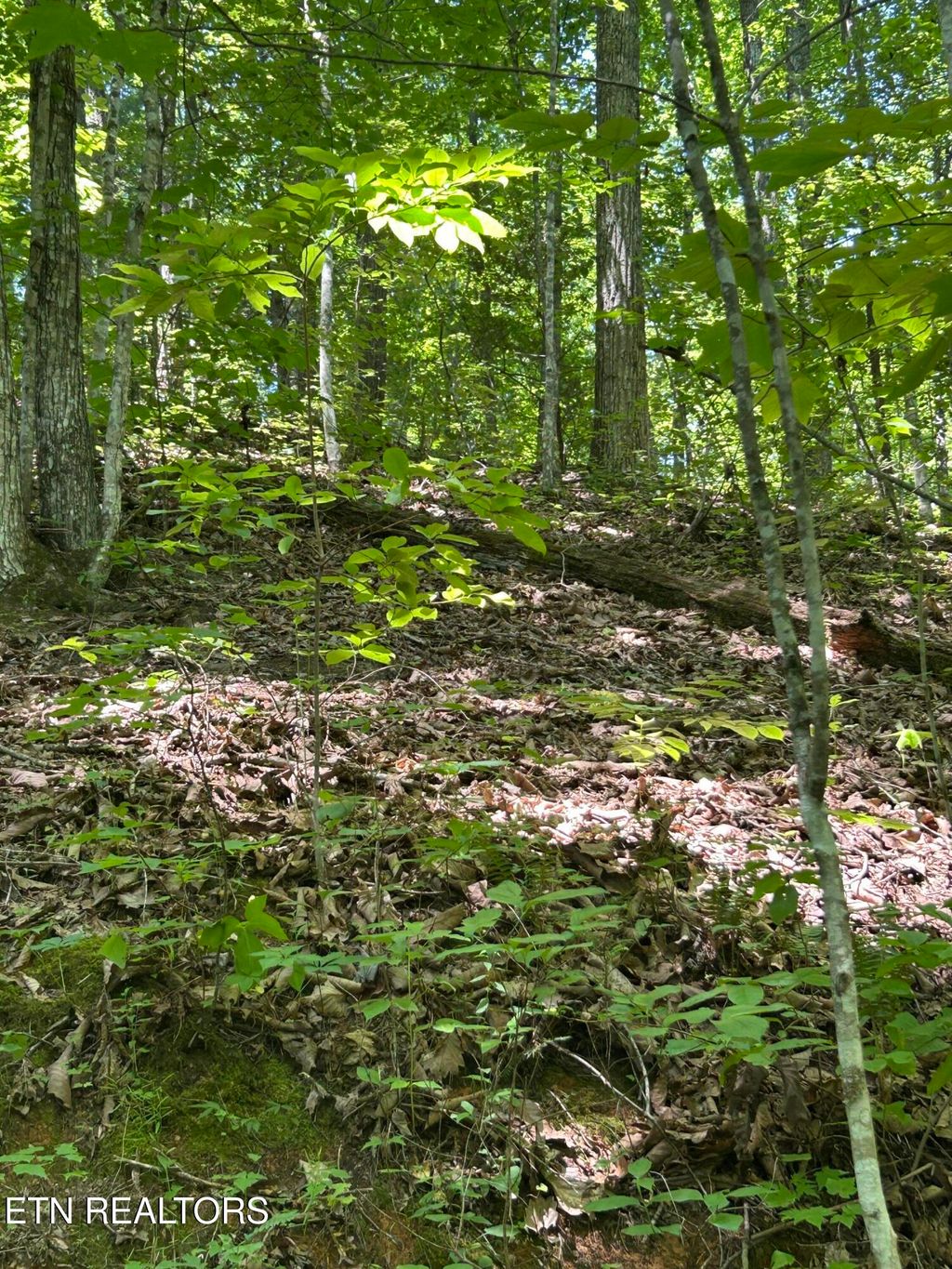 Photo of Lower Powdermill Rd, Sevierville, TN 37876 (MLS # 1317137)