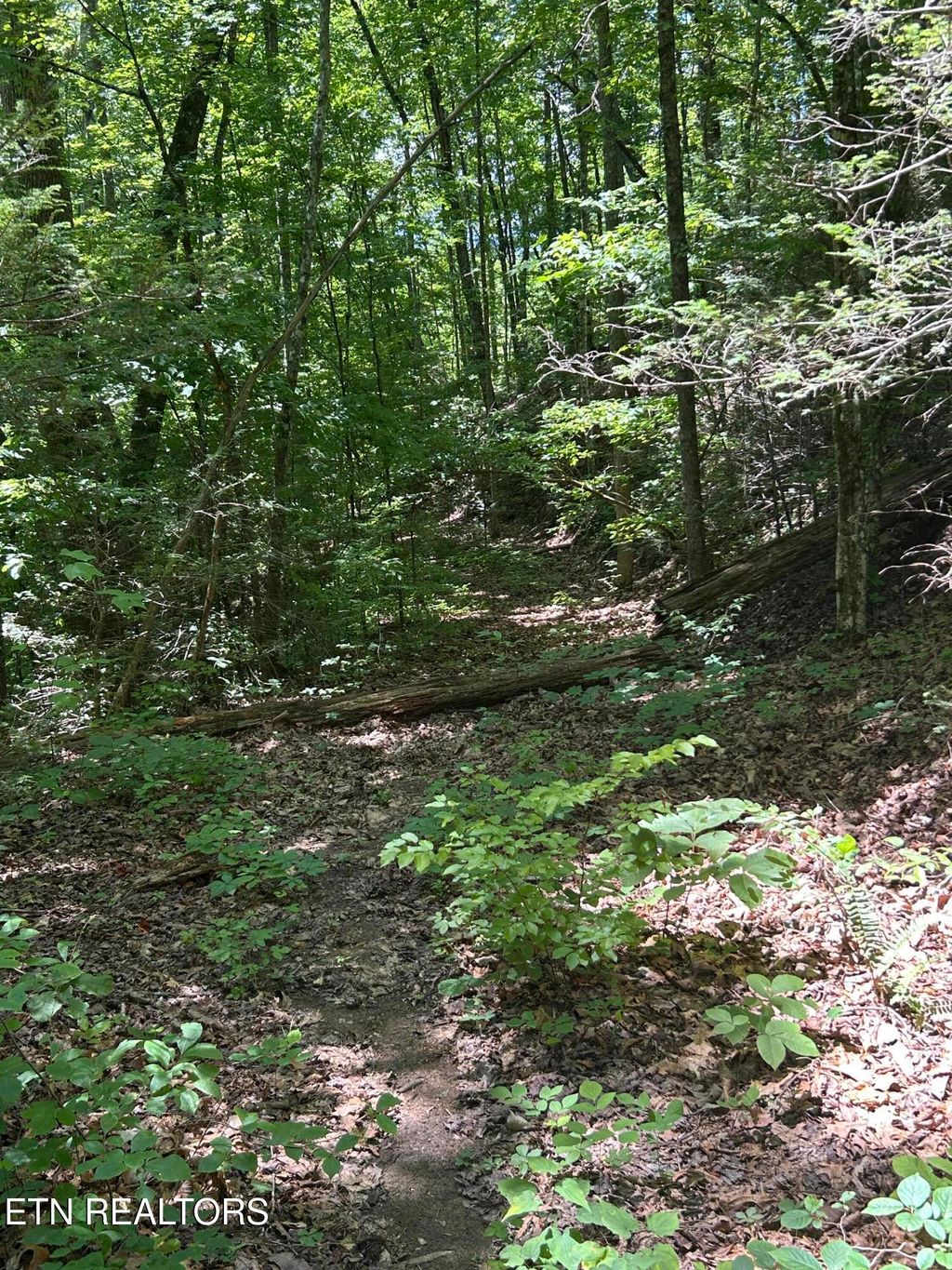 Photo of Lower Powdermill Rd, Sevierville, TN 37876 (MLS # 1317137)