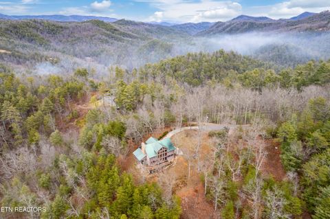 504 Twin Oak Mountain Lane Townsend TN 37882