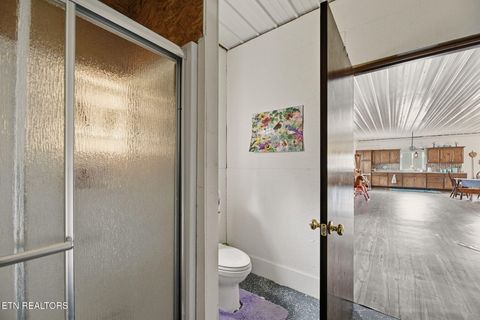 Tiny photo for 337 Old Collins, Deer Lodge, TN 37726 (MLS # 1326778)