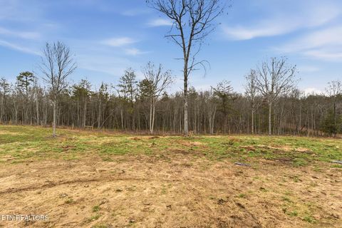 Tiny photo for 337 Old Collins, Deer Lodge, TN 37726 (MLS # 1326778)