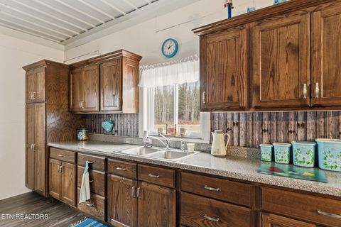 Tiny photo for 337 Old Collins, Deer Lodge, TN 37726 (MLS # 1326778)