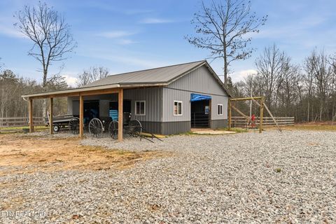 Tiny photo for 337 Old Collins, Deer Lodge, TN 37726 (MLS # 1326778)