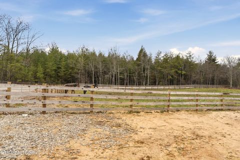 Tiny photo for 337 Old Collins, Deer Lodge, TN 37726 (MLS # 1326778)