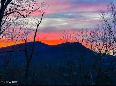 Tiny photo for 2864 Pine Haven Drive, Sevierville, TN 37862 (MLS # 1339396)
