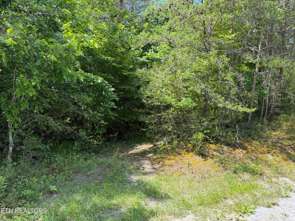 Photo of 0 Mountain Shores Rd, Tazewell, TN 37879 (MLS # 1345152)