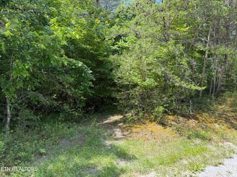 Photo of 0 Mountain Shores Rd, Tazewell, TN 37879 (MLS # 1345152)