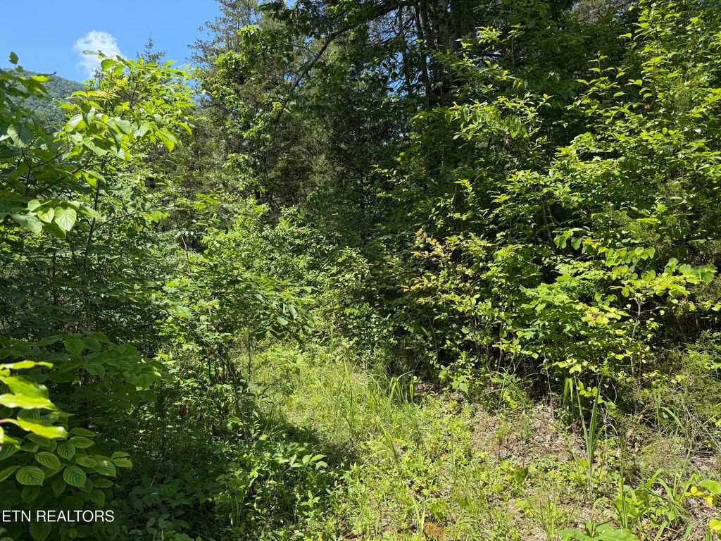 Photo of 0 Mountain Shores Rd, Tazewell, TN 37879 (MLS # 1345152)
