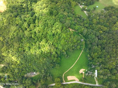 295 Archer Rd Luttrell TN 37779