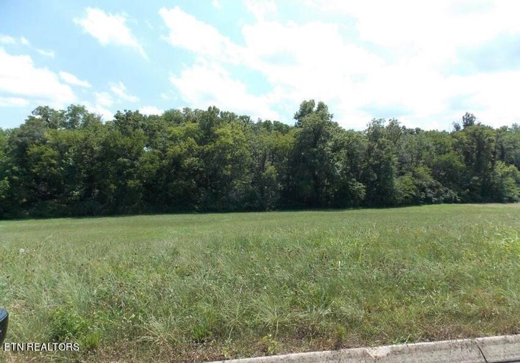 Photo of 622 Winding Creek Way, Walland, TN 37886 (MLS # 1244980)