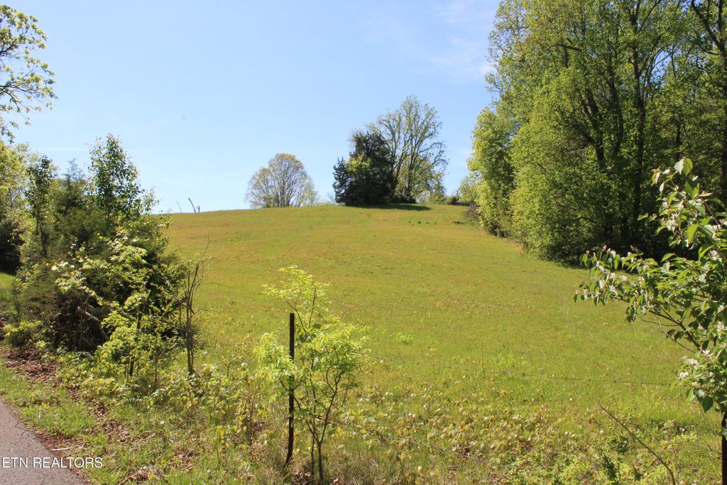 Photo of 3720 Wayne Bryant Rd, Louisville, TN 37777 (MLS # 1336932)