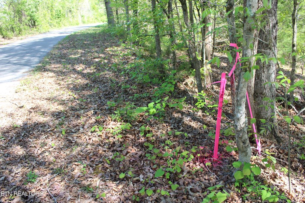 Photo of 3720 Wayne Bryant Rd, Louisville, TN 37777 (MLS # 1336932)