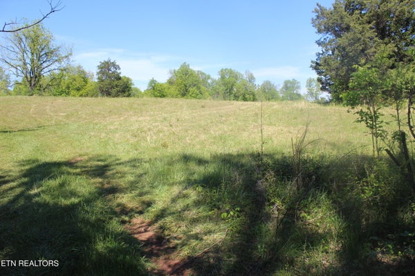 3720 WAYNE BRYANT RD, LOUISVILLE, TN 37777 - Image e8d3934ee2204ce00616d1cf00ff0e61/3863040385