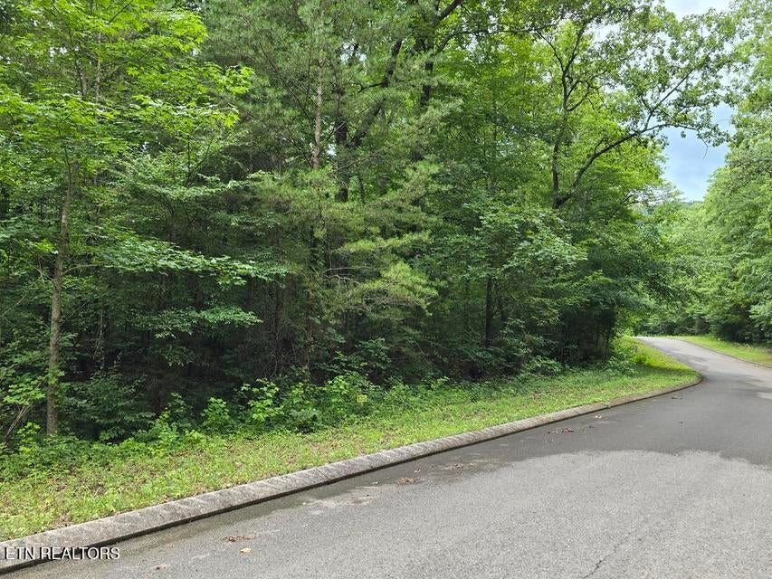 Photo of Lot 135 Lower Brow Rd, Dunlap, TN 37327 (MLS # 1348725)