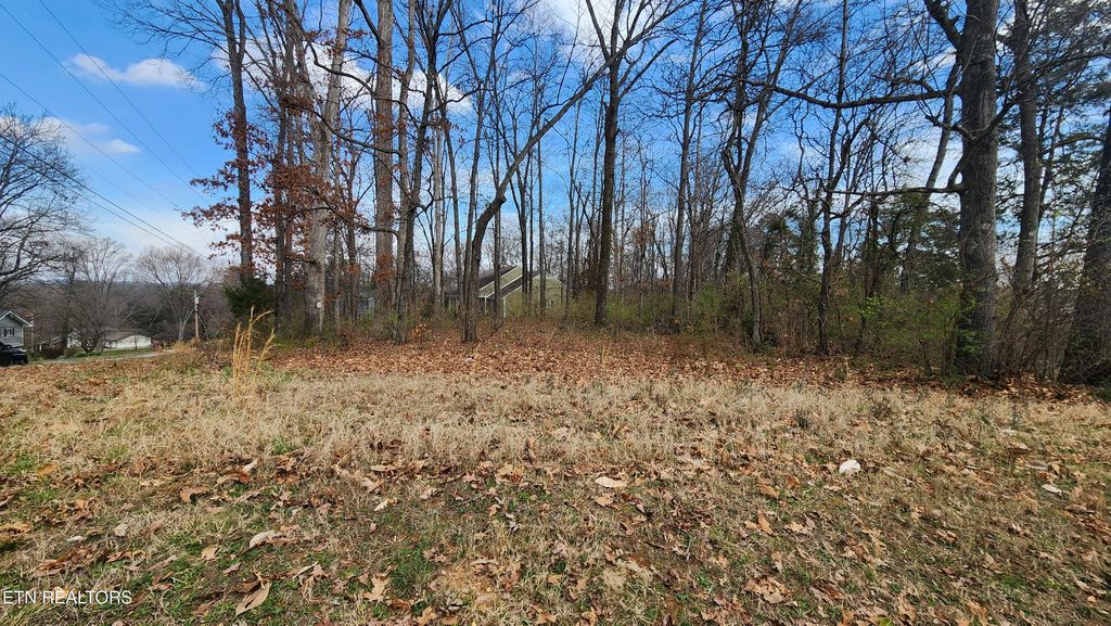 Photo of 400 Russfield Drive, Knoxville, TN 37934 (MLS # 1331591)