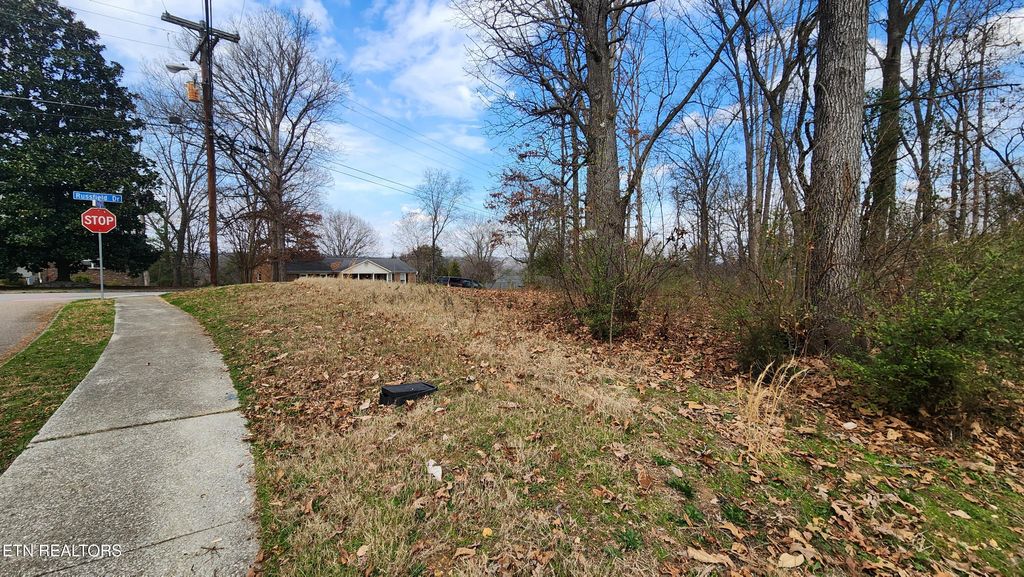 Photo of 400 Russfield Drive, Knoxville, TN 37934 (MLS # 1331591)