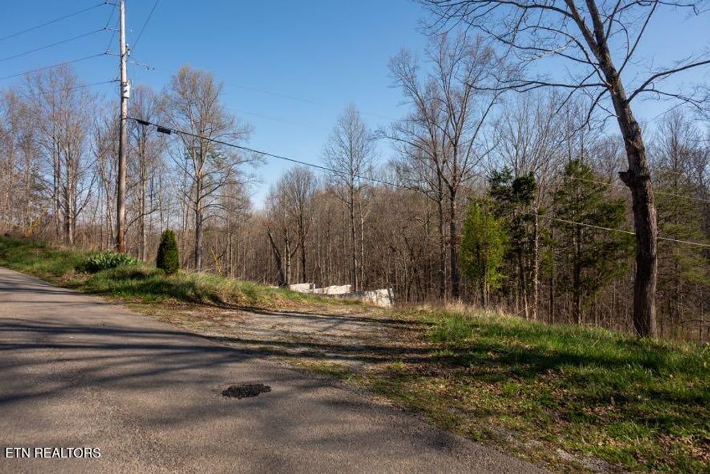 Photo of 174 Turkeytown Rd, Hilham, TN 38568 (MLS # 1333829)