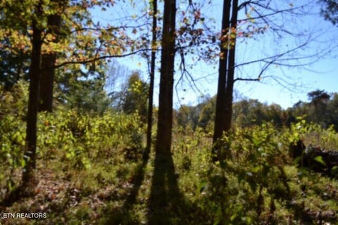Tiny photo for 10 Bob Dennings Rd, Allons, TN 38541 (MLS # 1359890)