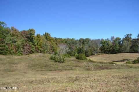 Tiny photo for 10 Bob Dennings Rd, Allons, TN 38541 (MLS # 1359890)