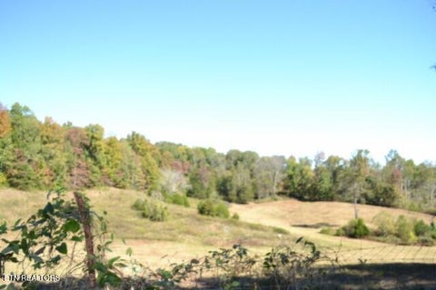 Tiny photo for 10 Bob Dennings Rd, Allons, TN 38541 (MLS # 1359890)