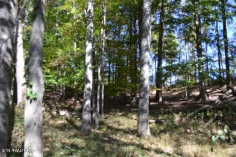 Tiny photo for 10 Bob Dennings Rd, Allons, TN 38541 (MLS # 1359890)