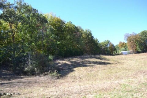 Tiny photo for 10 Bob Dennings Rd, Allons, TN 38541 (MLS # 1359890)