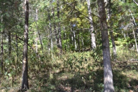 Tiny photo for 10 Bob Dennings Rd, Allons, TN 38541 (MLS # 1359890)