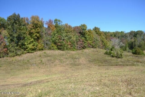 Tiny photo for 10 Bob Dennings Rd, Allons, TN 38541 (MLS # 1359890)