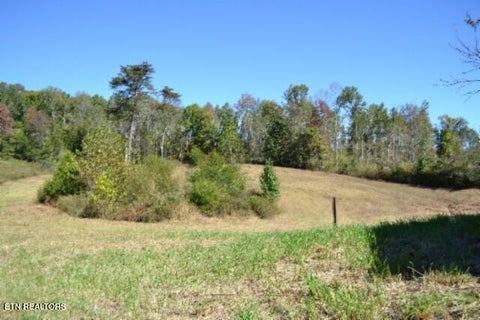 Tiny photo for 10 Bob Dennings Rd, Allons, TN 38541 (MLS # 1359890)
