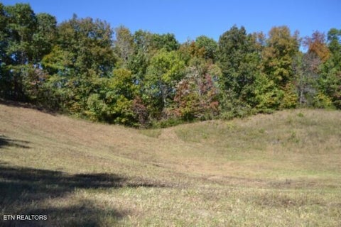 Tiny photo for 10 Bob Dennings Rd, Allons, TN 38541 (MLS # 1359890)