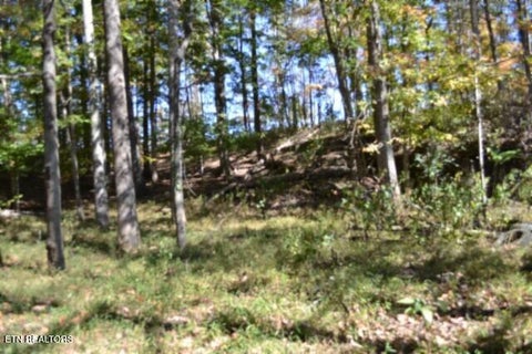 Tiny photo for 10 Bob Dennings Rd, Allons, TN 38541 (MLS # 1359890)