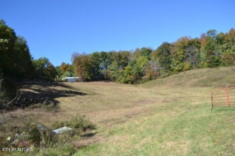 Tiny photo for 10 Bob Dennings Rd, Allons, TN 38541 (MLS # 1359890)
