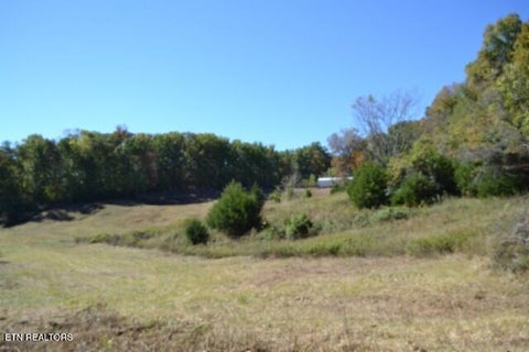 Tiny photo for 10 Bob Dennings Rd, Allons, TN 38541 (MLS # 1359890)