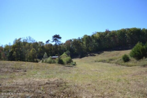 Tiny photo for 10 Bob Dennings Rd, Allons, TN 38541 (MLS # 1359890)