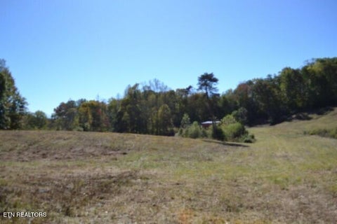 Tiny photo for 10 Bob Dennings Rd, Allons, TN 38541 (MLS # 1359890)
