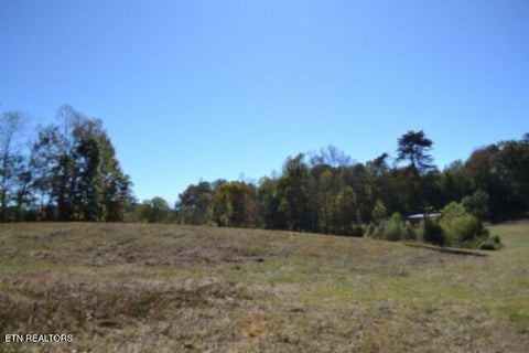 Tiny photo for 10 Bob Dennings Rd, Allons, TN 38541 (MLS # 1359890)