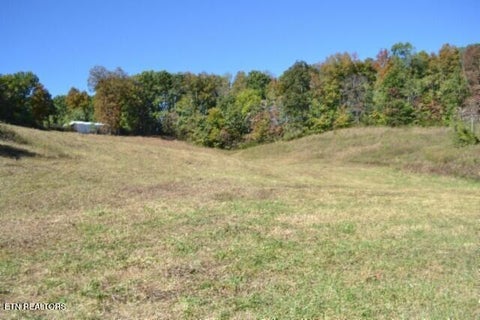 Tiny photo for 10 Bob Dennings Rd, Allons, TN 38541 (MLS # 1359890)