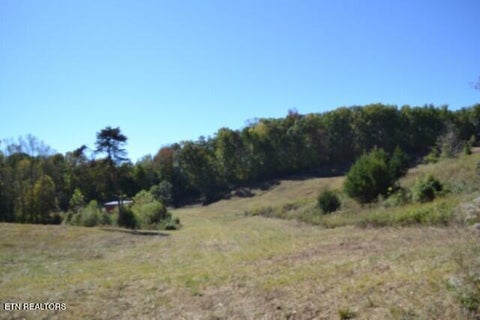 Tiny photo for 10 Bob Dennings Rd, Allons, TN 38541 (MLS # 1359890)