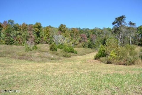 Tiny photo for 10 Bob Dennings Rd, Allons, TN 38541 (MLS # 1359890)