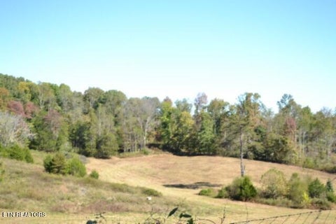 Tiny photo for 10 Bob Dennings Rd, Allons, TN 38541 (MLS # 1359890)