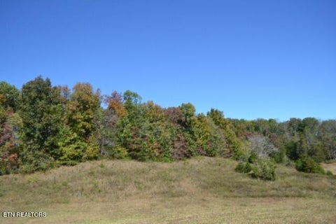 Tiny photo for 10 Bob Dennings Rd, Allons, TN 38541 (MLS # 1359890)