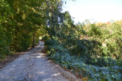 Tiny photo for 10 Bob Dennings Rd, Allons, TN 38541 (MLS # 1359890)