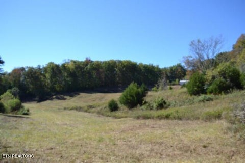 Tiny photo for 10 Bob Dennings Rd, Allons, TN 38541 (MLS # 1359890)