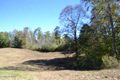 Tiny photo for 10 Bob Dennings Rd, Allons, TN 38541 (MLS # 1359890)
