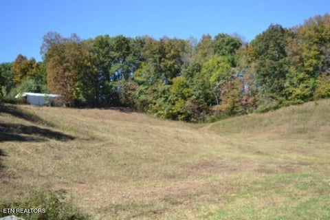 Tiny photo for 10 Bob Dennings Rd, Allons, TN 38541 (MLS # 1359890)