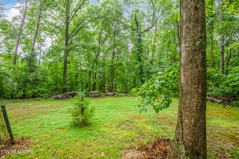 Tiny photo for 117 Skyline Lane, Powell, TN 37849 (MLS # 1349229)